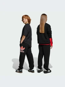 Брюки Adidas Adicolor модель JV7781-KZ Фото