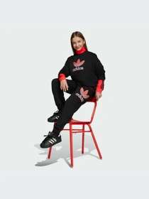 Брюки Adidas Adicolor модель JV7781-KZ Фото