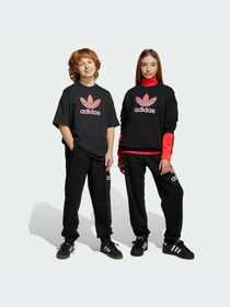Брюки Adidas Adicolor модель JV7781-KZ Фото