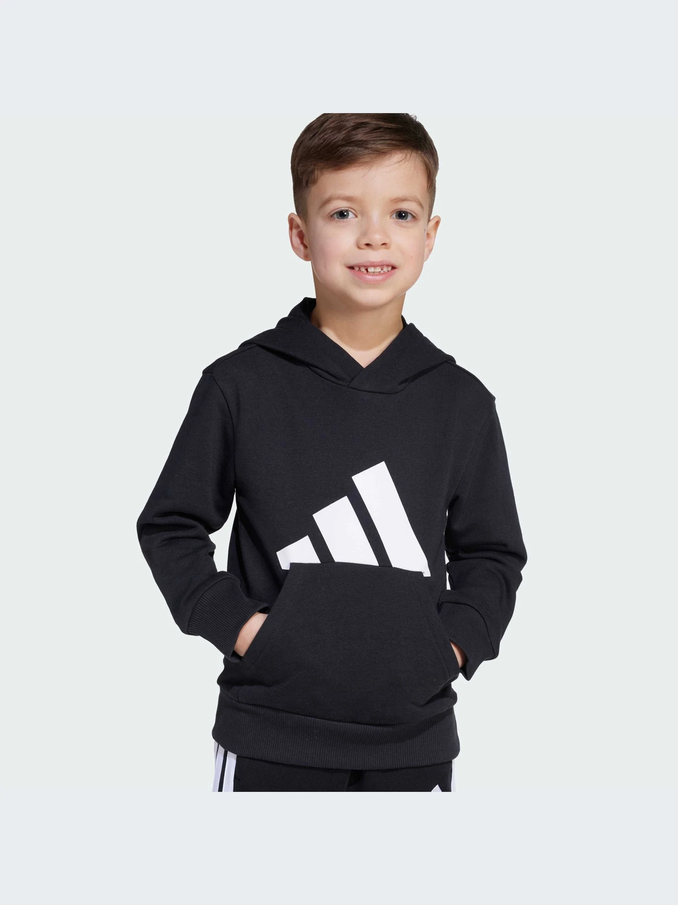 Худи и свитшоты Adidas модель JM0885-KZ Худи и свитшоты Adidas модель JM0885-KZ Фото