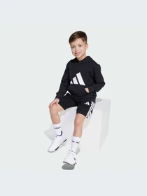 Худи и свитшоты Adidas модель JM0885-KZ Фото