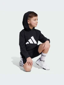 Худи и свитшоты Adidas модель JM0885-KZ Фото