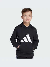 Худи и свитшоты Adidas модель JM0885-KZ Фото