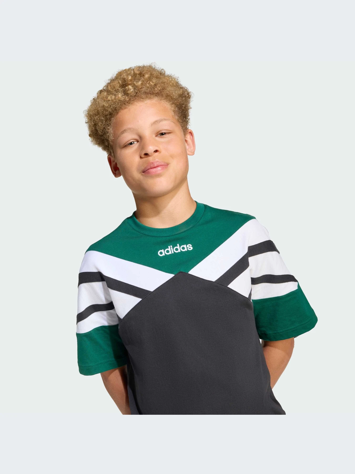 Футболки и поло Adidas модель JW9123-KZ Футболки и поло Adidas модель JW9123-KZ Фото