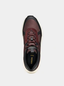 Кроссовки Geox Spherica модель U56MLA-01122-C8353 Фото
