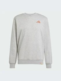 Худи и свитшоты Adidas модель JM6503-KZ Фото