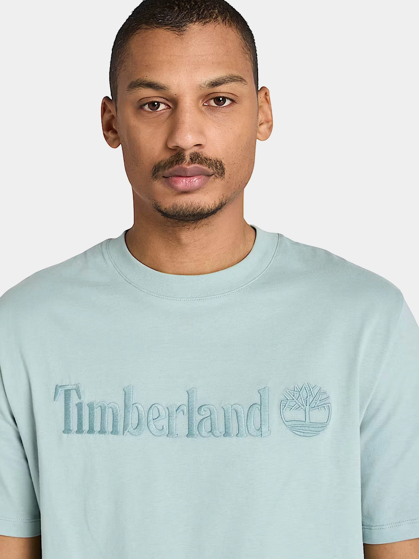 Футболки и поло Timberland модель TB0A6VPEEYM Футболки и поло Timberland модель TB0A6VPEEYM Фото