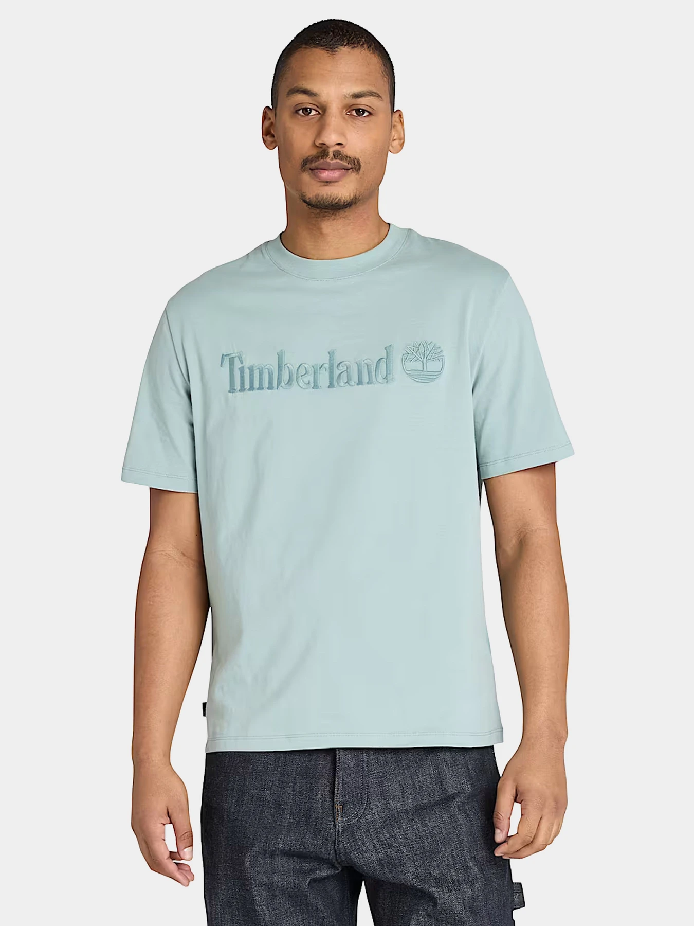 Футболки и поло Timberland модель TB0A6VPEEYM Футболки и поло Timberland модель TB0A6VPEEYM Фото