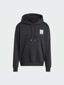 Худи и свитшоты Adidas модель JX3096-KZ Фото