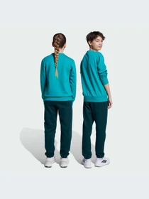 Костюмы Adidas модель JV9938-KZ Фото