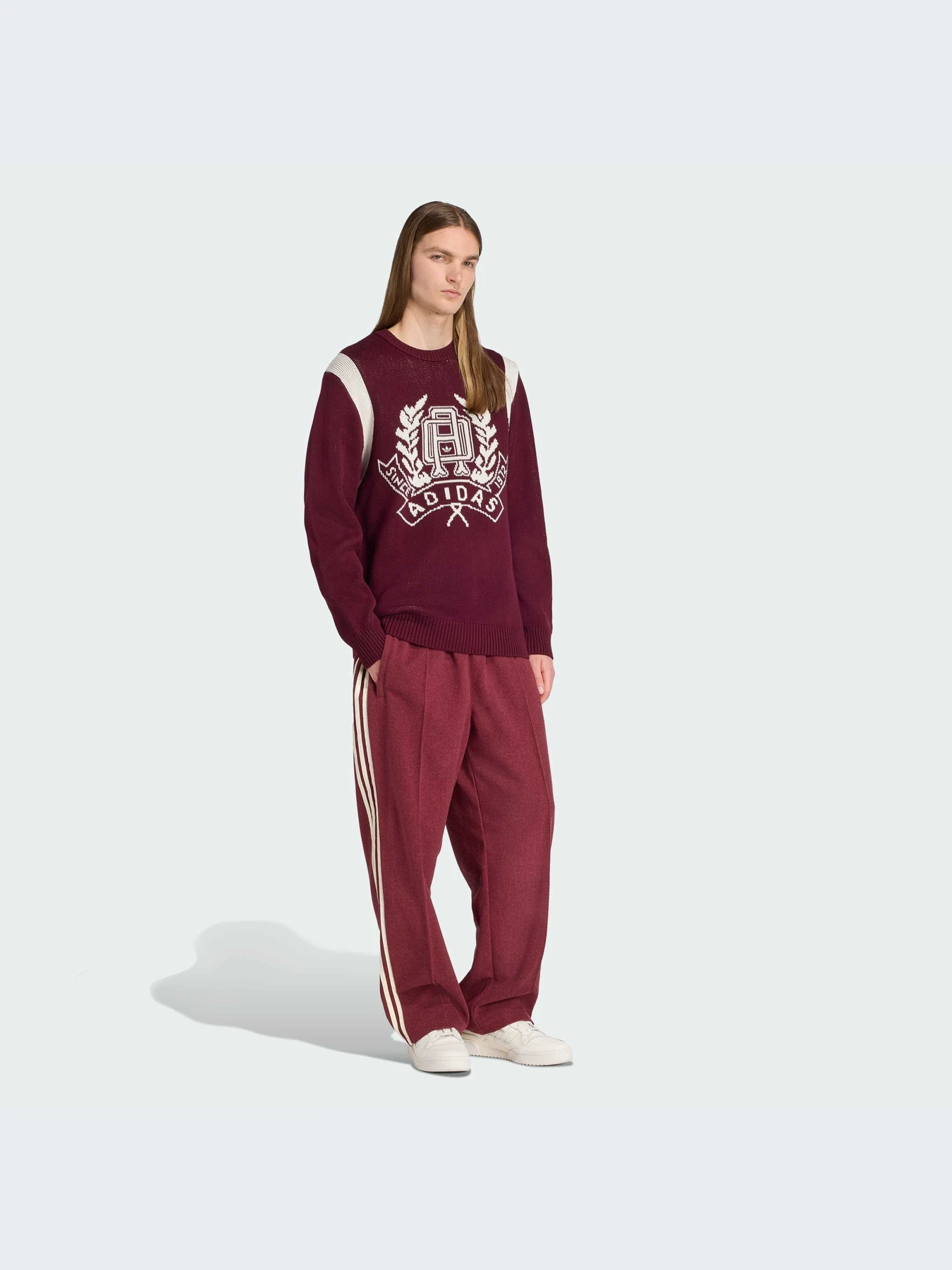 Худи и свитшоты Adidas Graphics модель JX8215-KZ Фото