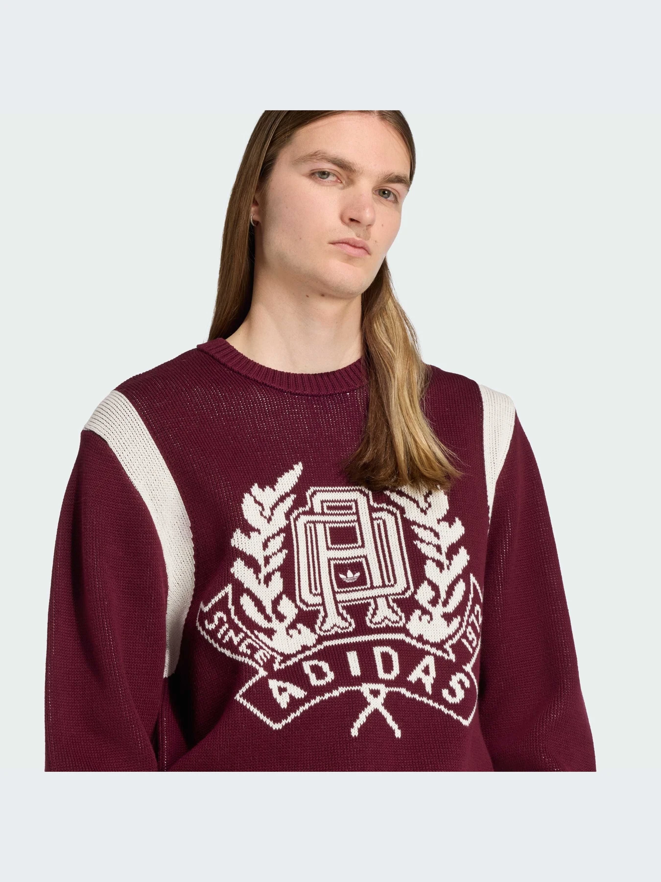 Худи и свитшоты Adidas Graphics модель JX8215-KZ Фото