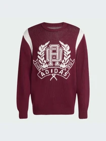 Худи и свитшоты Adidas Graphics модель JX8215-KZ Фото
