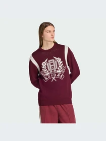 Худи и свитшоты Adidas Graphics модель JX8215-KZ Фото