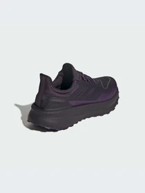 Кроссовки Adidas Ultraboost модель JQ2955-KZ Фото