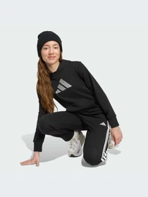 Худи и свитшоты Adidas модель JV5267-KZ Фото