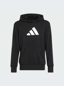 Худи и свитшоты Adidas модель JV5267-KZ Фото