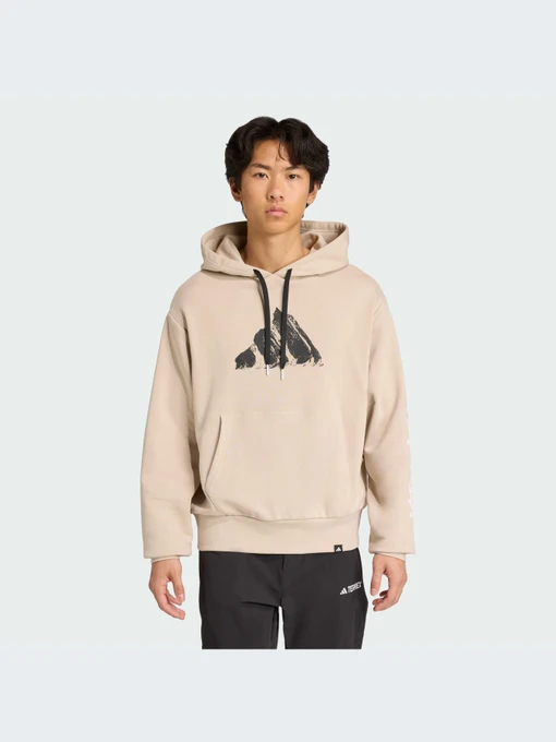 Худи и свитшоты Adidas модель JM6362-KZ Фото