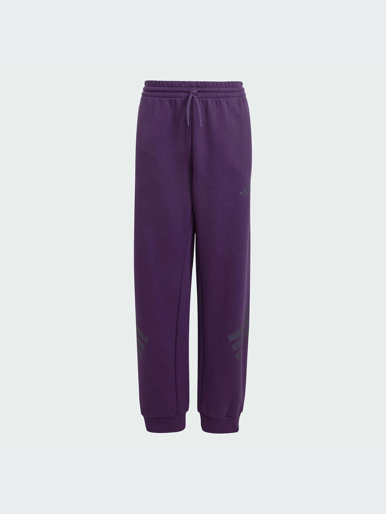 Брюки Adidas Icons модель JW7524-KZ Брюки Adidas Icons модель JW7524-KZ Фото