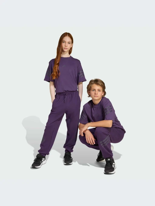 Брюки Adidas Icons модель JW7524-KZ Фото