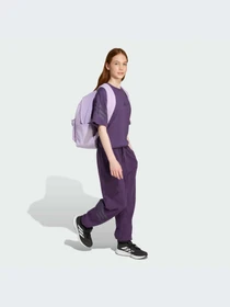Брюки Adidas Icons модель JW7524-KZ Фото