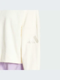 Худи и свитшоты Adidas модель JM5948-KZ Фото