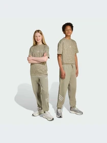 Брюки Adidas Icons модель JW7523-KZ Фото