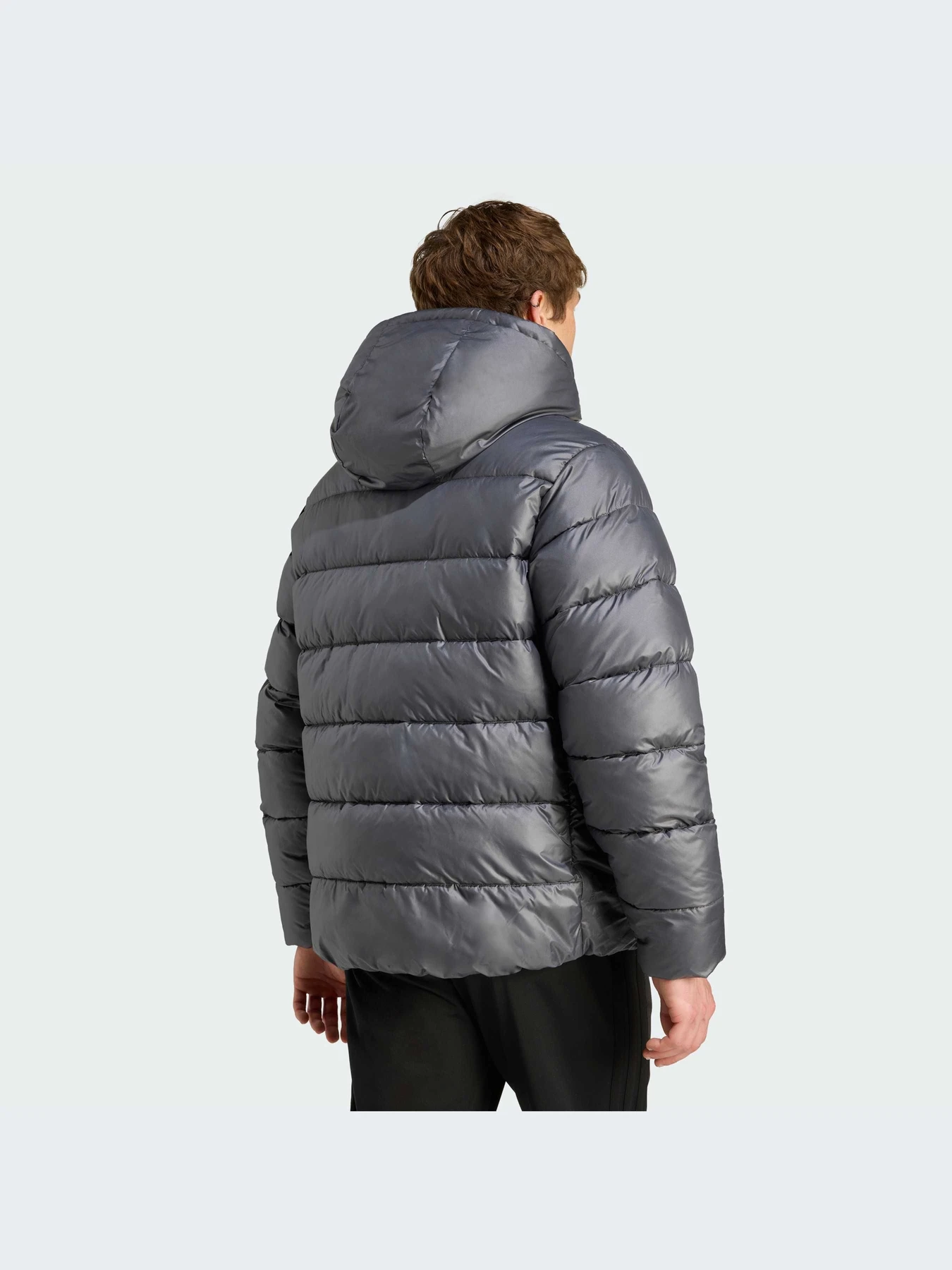 Куртки и дубленки Adidas модель JM8399-KZ Куртки и дубленки Adidas модель JM8399-KZ Фото
