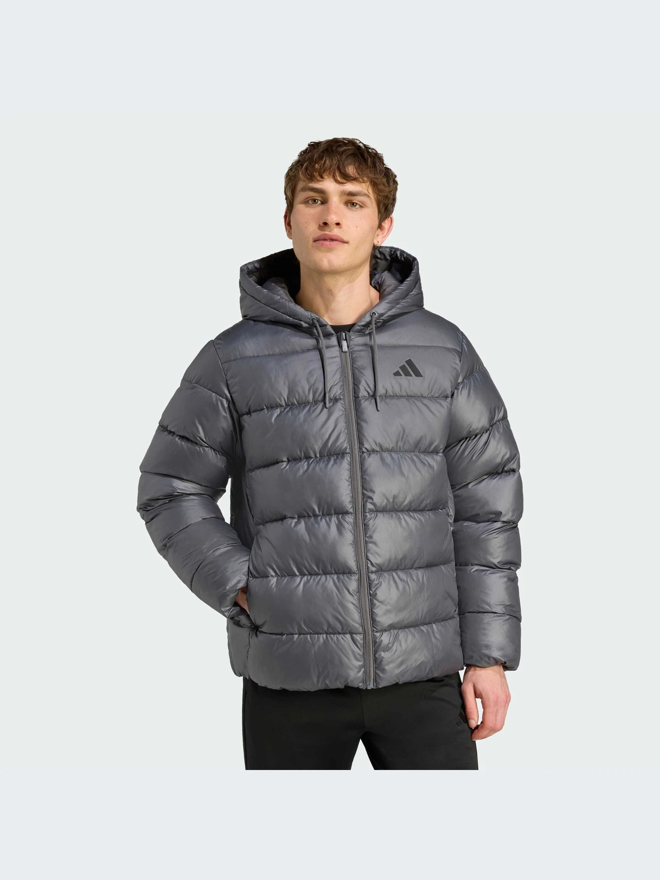 Куртки и дубленки Adidas модель JM8399-KZ Куртки и дубленки Adidas модель JM8399-KZ Фото