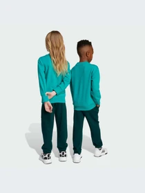 Костюмы Adidas модель JW2436-KZ Фото