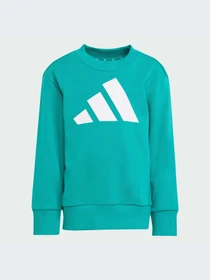 Костюмы Adidas модель JW2436-KZ Фото
