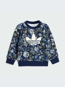 Костюмы Adidas Graphics модель JY3019-KZ Фото