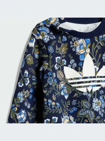 Костюмы Adidas Graphics модель JY3019-KZ Фото