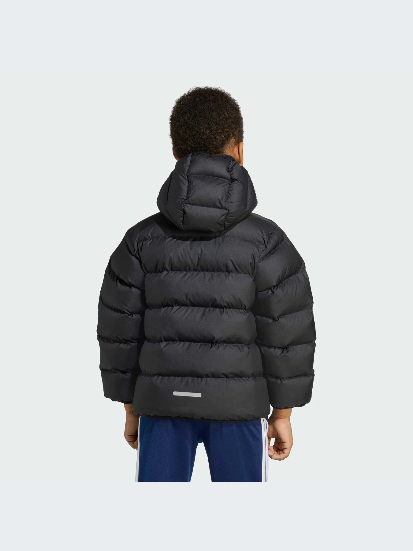 Куртки и дубленки Adidas модель JM8864-KZ Куртки и дубленки Adidas модель JM8864-KZ Фото
