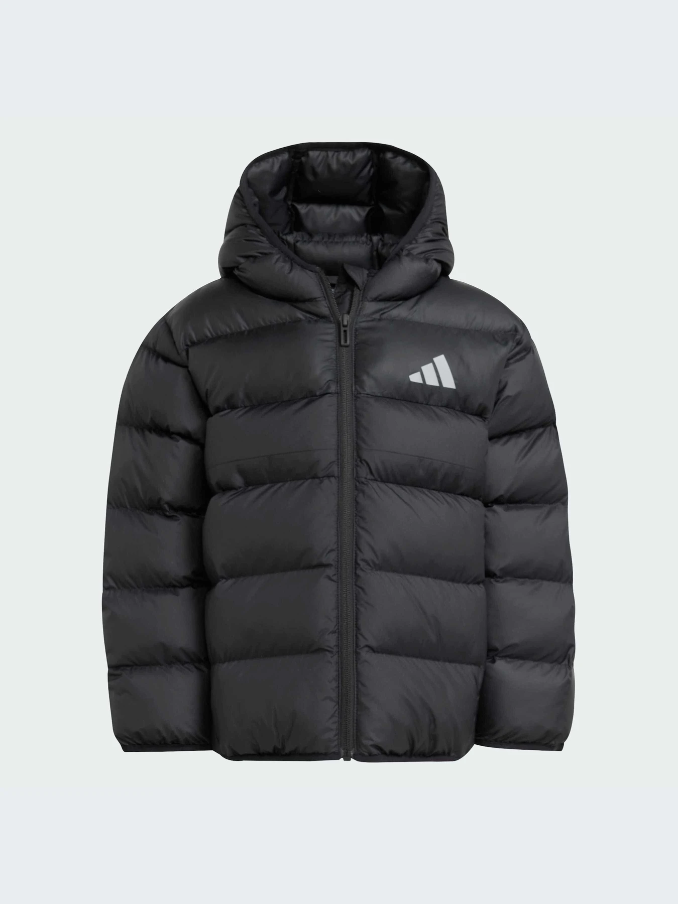 Куртки и дубленки Adidas модель JM8864-KZ Куртки и дубленки Adidas модель JM8864-KZ Фото
