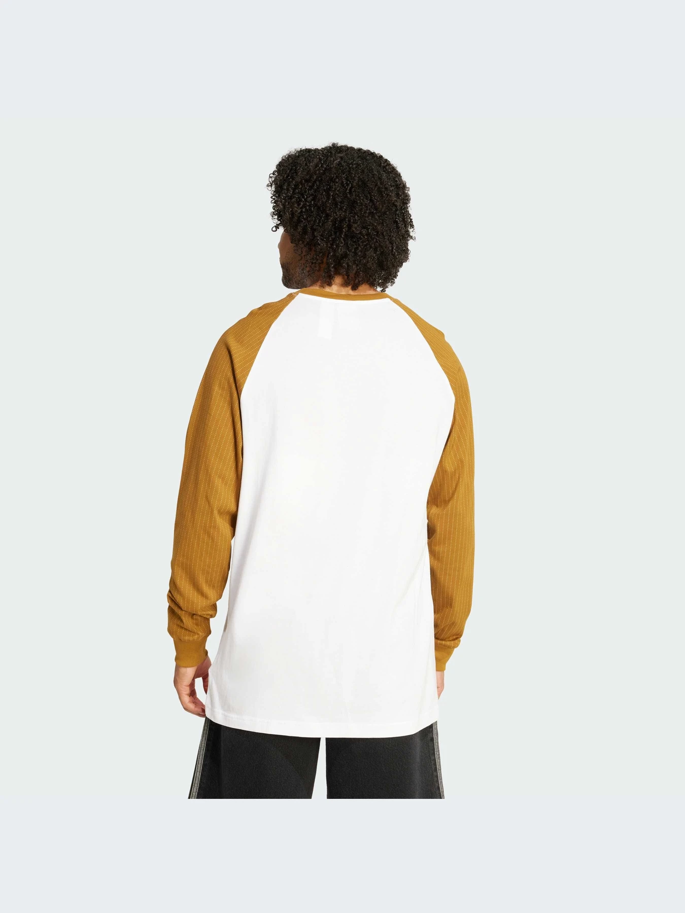 Худи и свитшоты Adidas Graphics модель JW0163-KZ Худи и свитшоты Adidas Graphics модель JW0163-KZ Фото