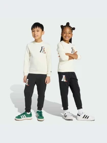 Костюмы Adidas модель JX3018-KZ Фото