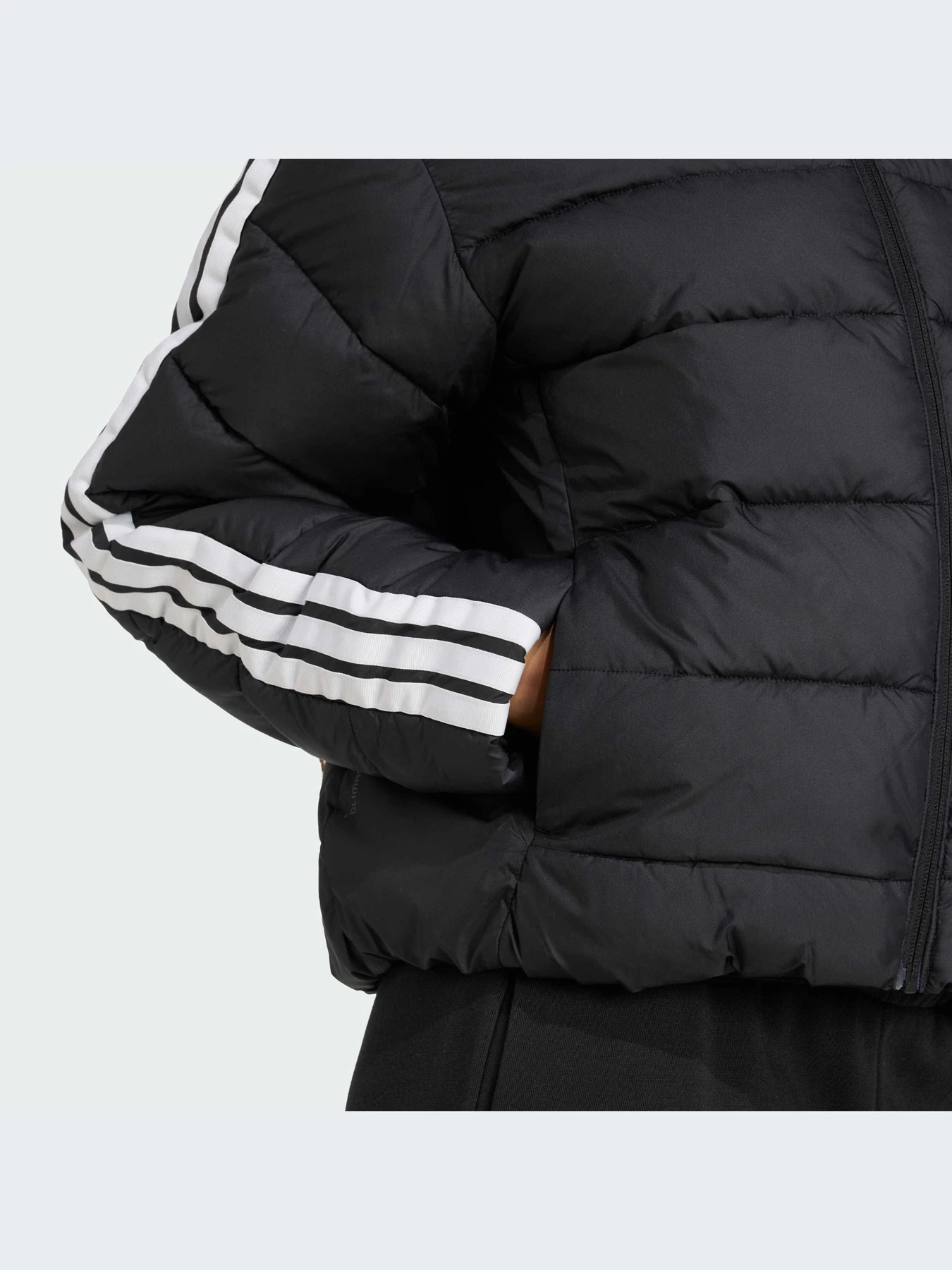 Куртки и дубленки Adidas модель JM8421-KZ Куртки и дубленки Adidas модель JM8421-KZ Фото