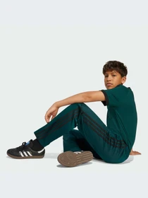Брюки Adidas модель JV8593-KZ Фото