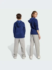 Брюки Adidas модель JW2386-KZ Фото