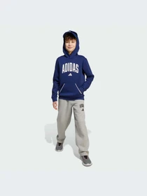 Брюки Adidas модель JW2386-KZ Фото