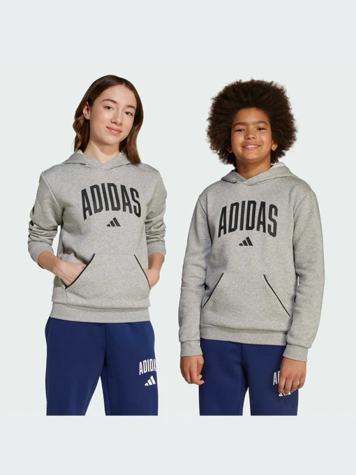 Худи и свитшоты Adidas модель JV7336-KZ Фото