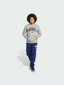 Худи и свитшоты Adidas модель JV7336-KZ Фото