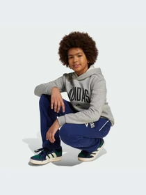 Худи и свитшоты Adidas модель JV7336-KZ Фото