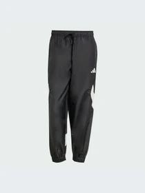 Брюки Adidas модель JN1830-KZ Фото