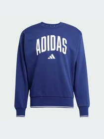 Худи и свитшоты Adidas модель JM1734-KZ Фото