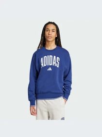 Худи и свитшоты Adidas модель JM1734-KZ Фото