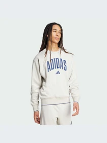 Худи и свитшоты Adidas модель JM1732-KZ Фото