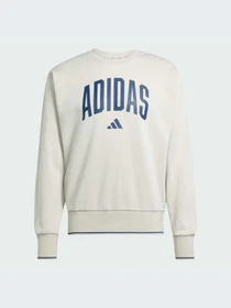 Худи и свитшоты Adidas модель JM1732-KZ Фото