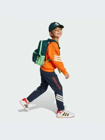 Брюки Adidas модель JM0828-KZ Фото